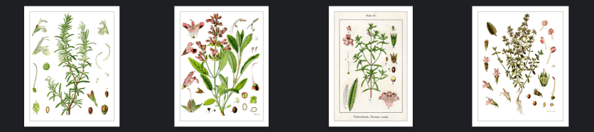 RomarinSaugeSarrietteThym